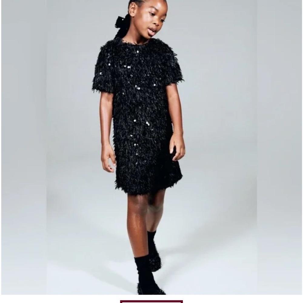 Zara Black Shaggy Sequin-Accented Short Dress